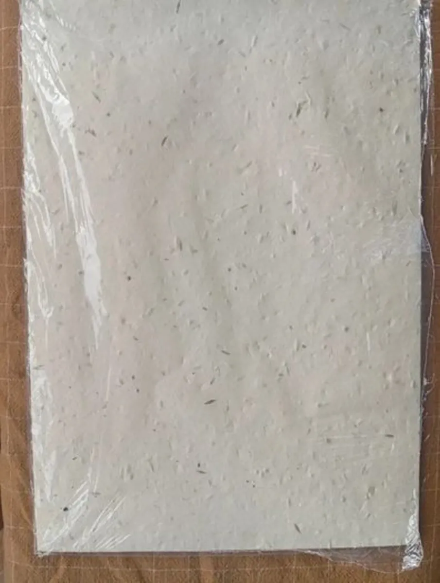 A4 Eco Bloom Plantable Seed Paper Natural - Image 2