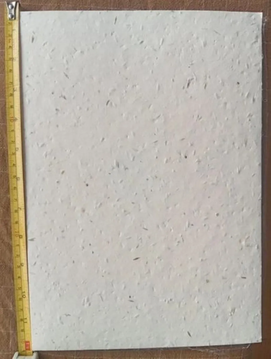 A4 Eco Bloom Plantable Seed Paper Natural - Image 4