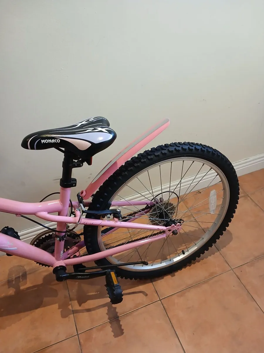 Bicycle - Image 2
