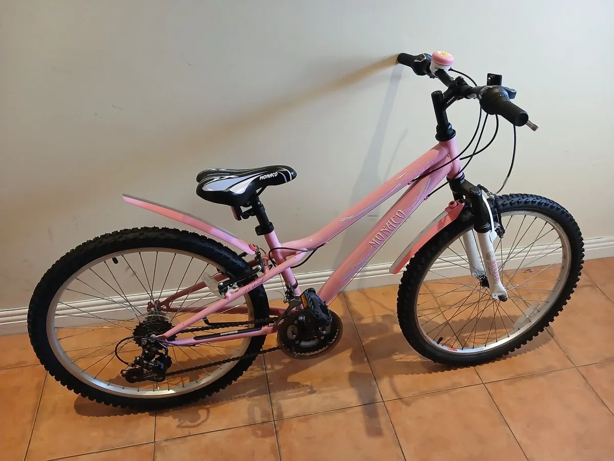 Bicycle - Image 4