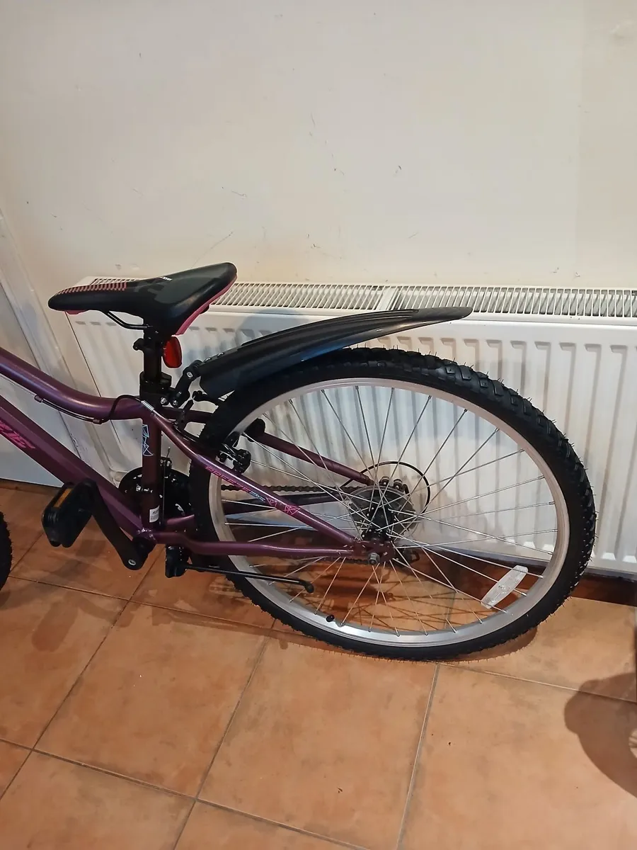 Bicycle - Image 2