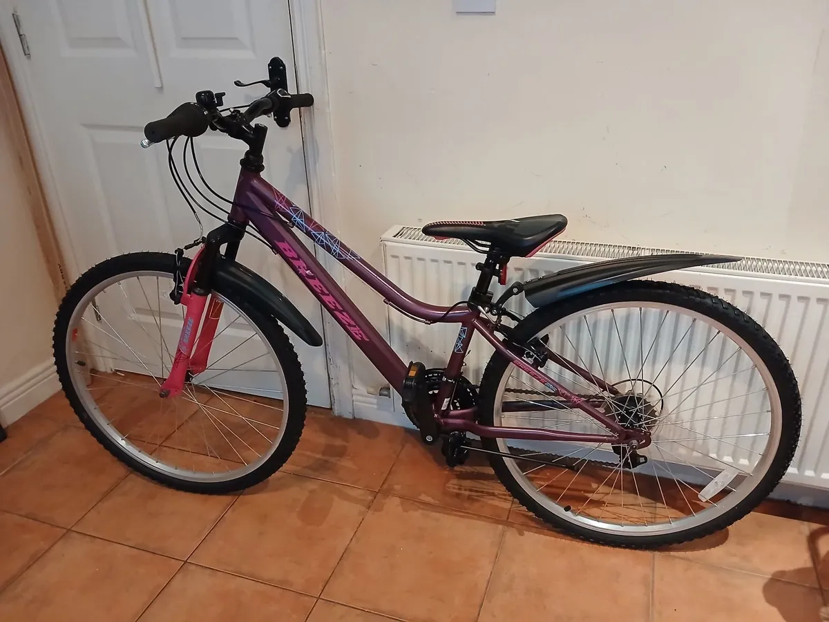 Bicycle - Image 1