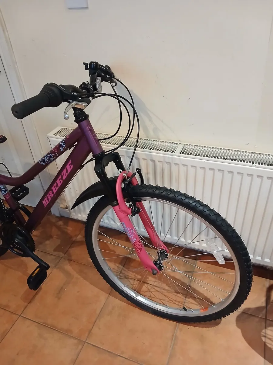 Bicycle - Image 4