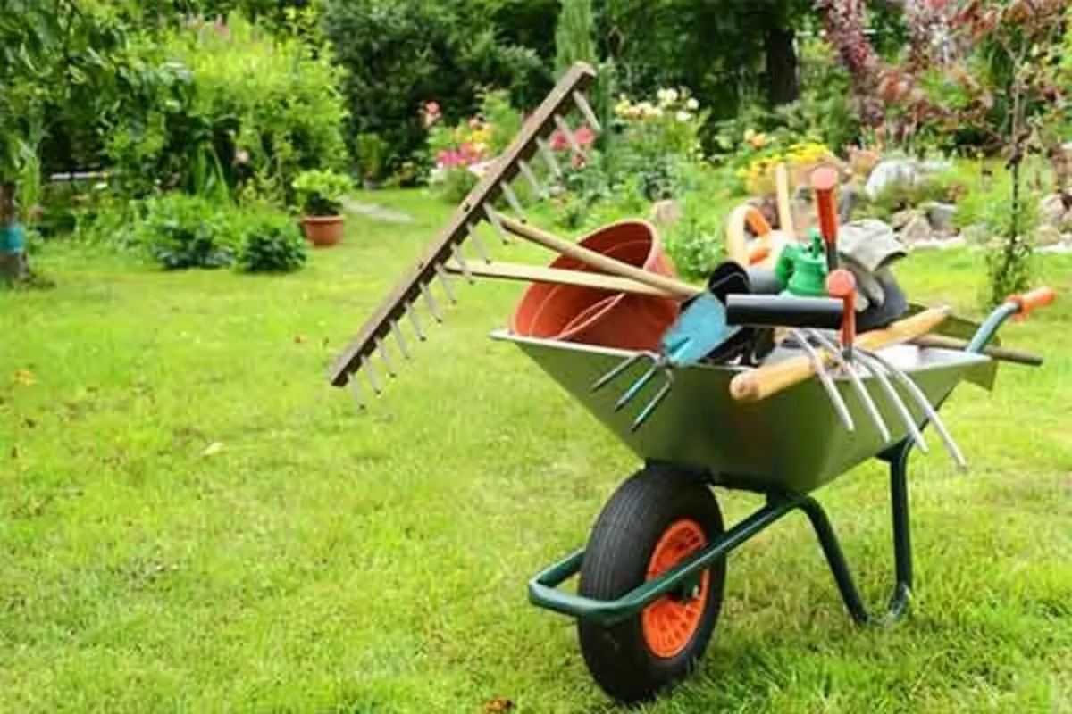Do you need help in the garden? I am available - Image 3