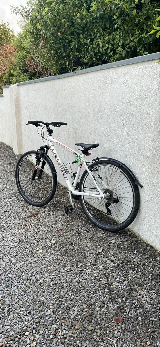 Adult bike - Image 2