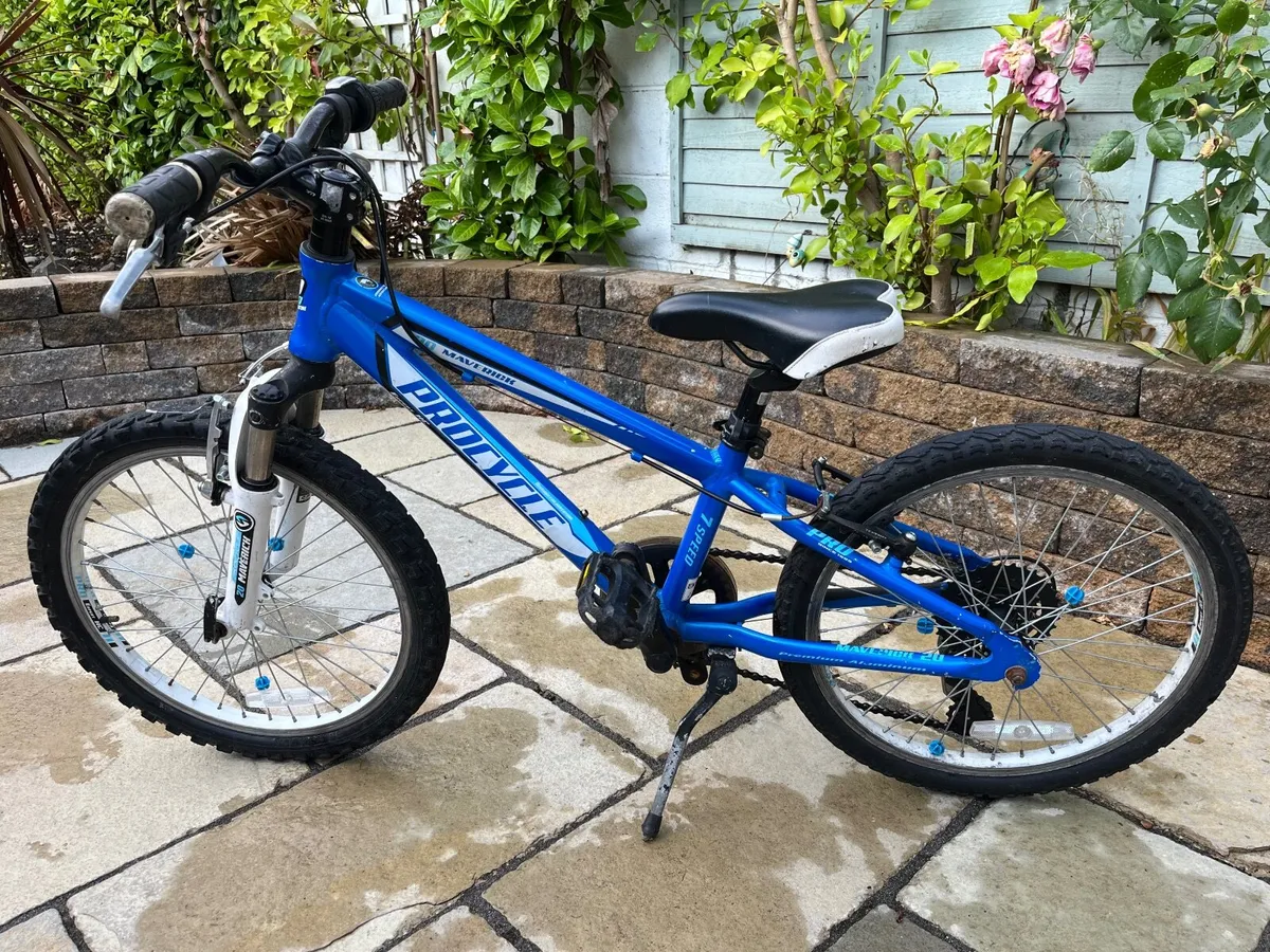 Boys Bicycle - Image 3