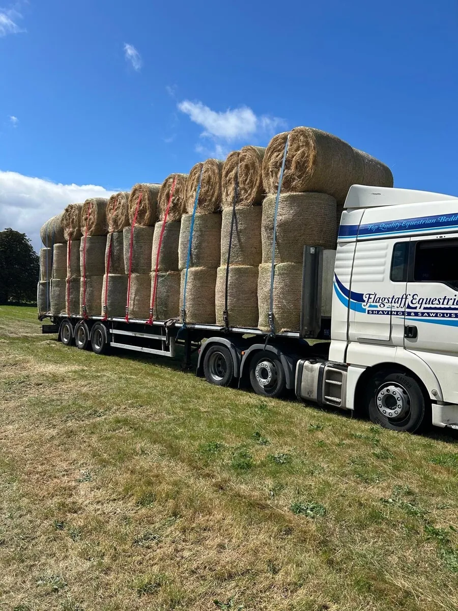 Top class hay for sale - Image 1