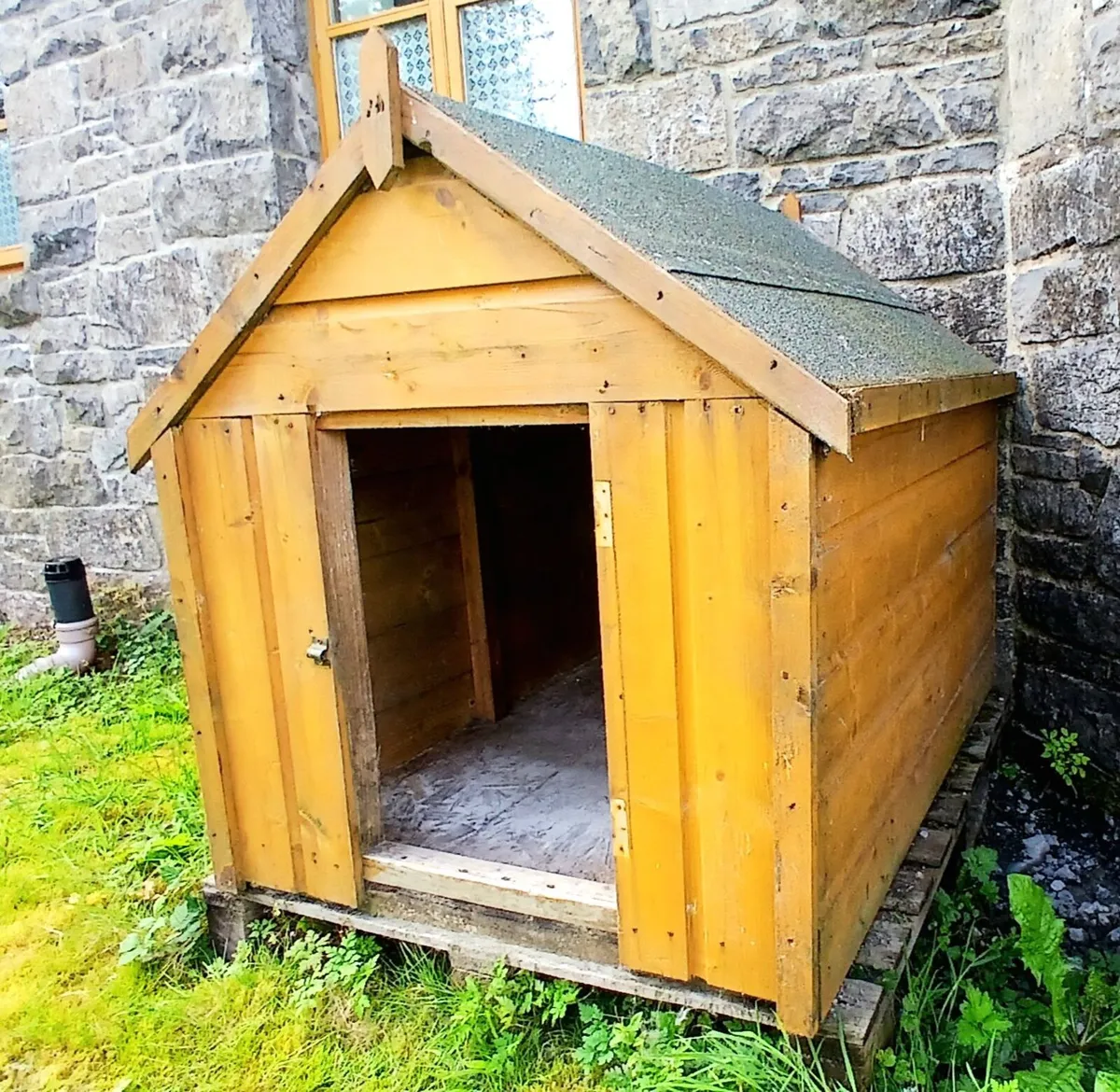 Dog Kennell - Image 1