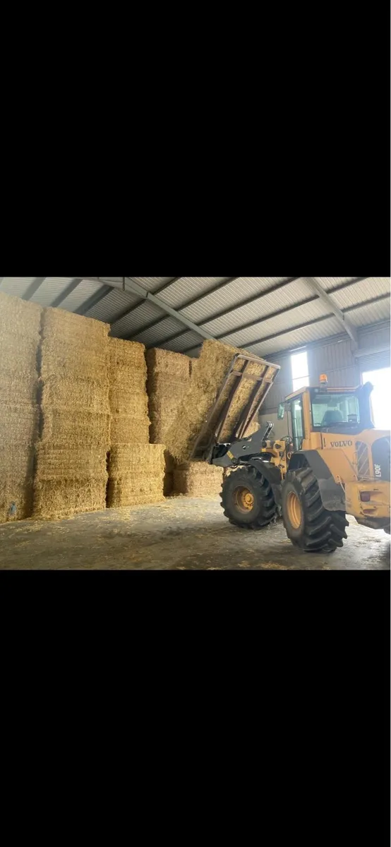 Pre chopped Irish Straw - Image 1