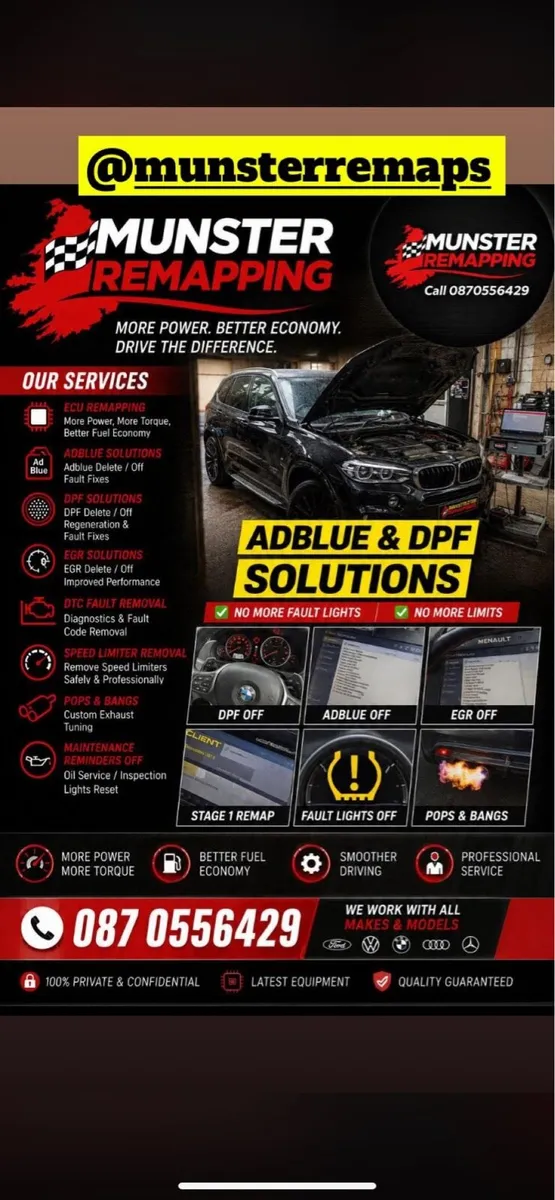 * REMAPPING */DPF & AD BLUE SOLUTIONS - Image 1