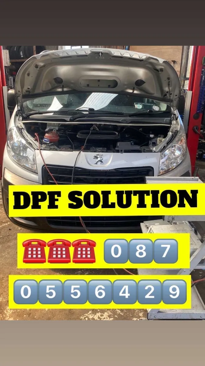 * REMAPPING */DPF & AD BLUE SOLUTIONS - Image 4