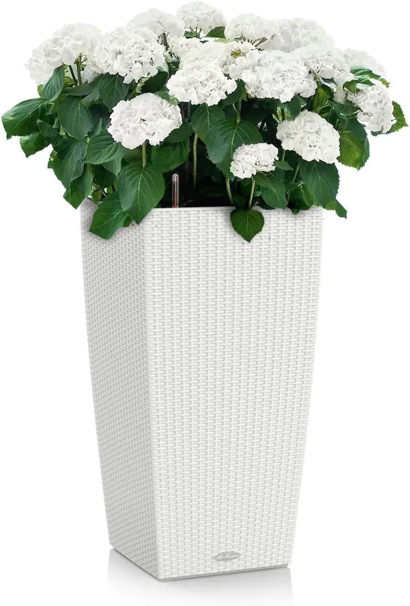 Self Watering Plant Pots Cubico Cottage 40 Large - Image 2