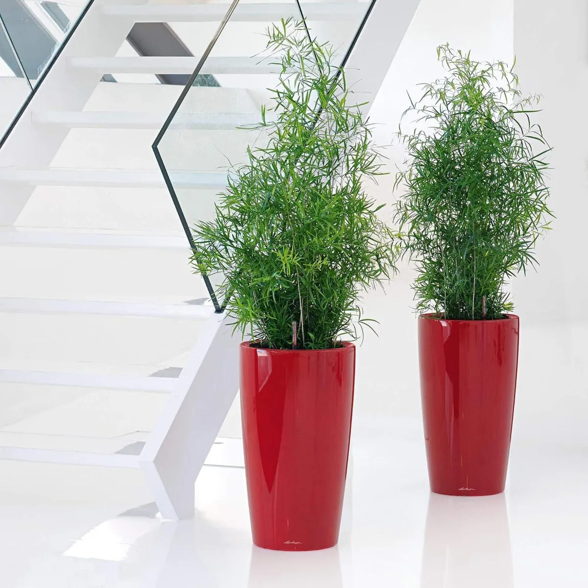 Rondo 32 Self Watering Planter Large Plastic (1 - Image 4