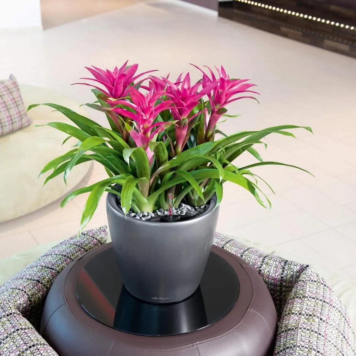 Self Watering Plant Pot Classico 35 Ls Garden (1 - Image 2