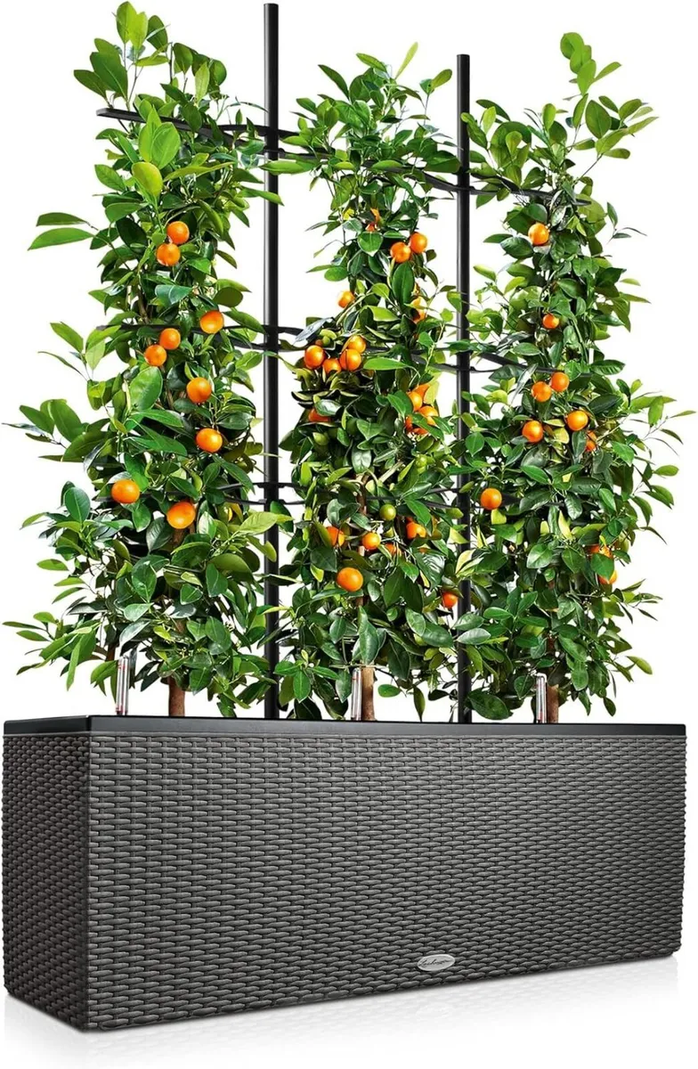 Trio Cottage 30 Self Watering Planter Large - Image 2
