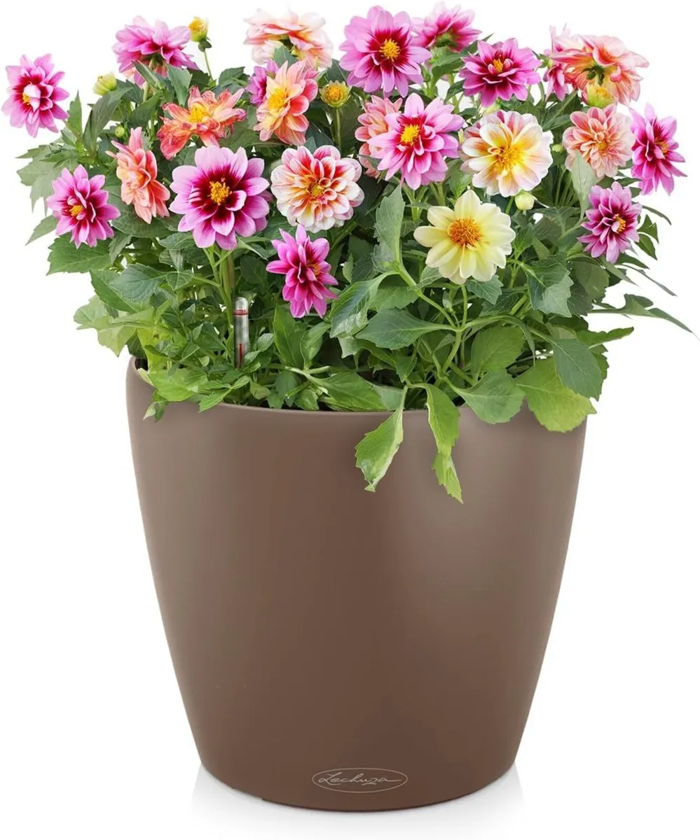 Classico Colour 43 Round Planter Plastic - Image 2