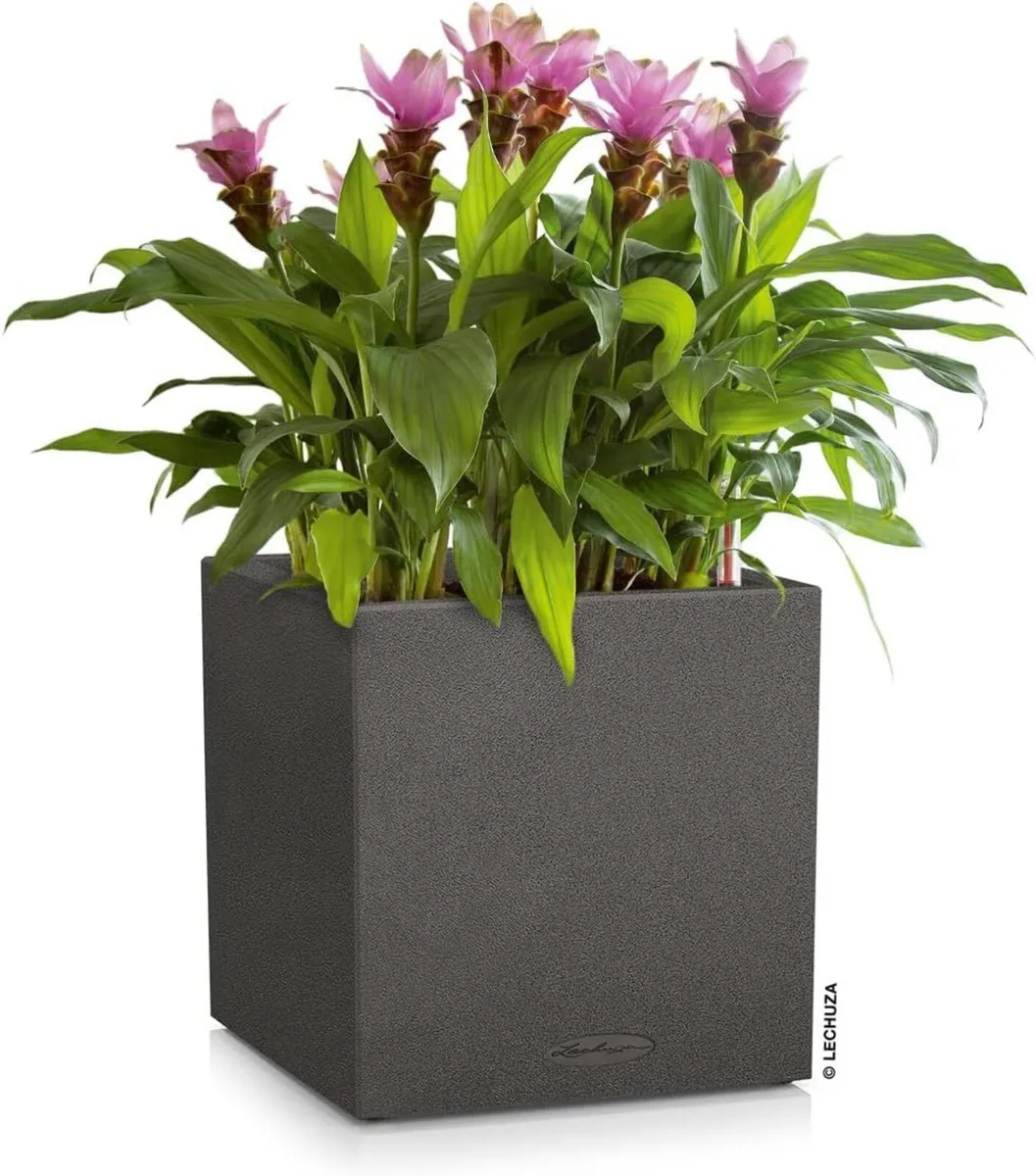 Self Watering Plant Pot Canto Stone 40 Low (1 - Image 2