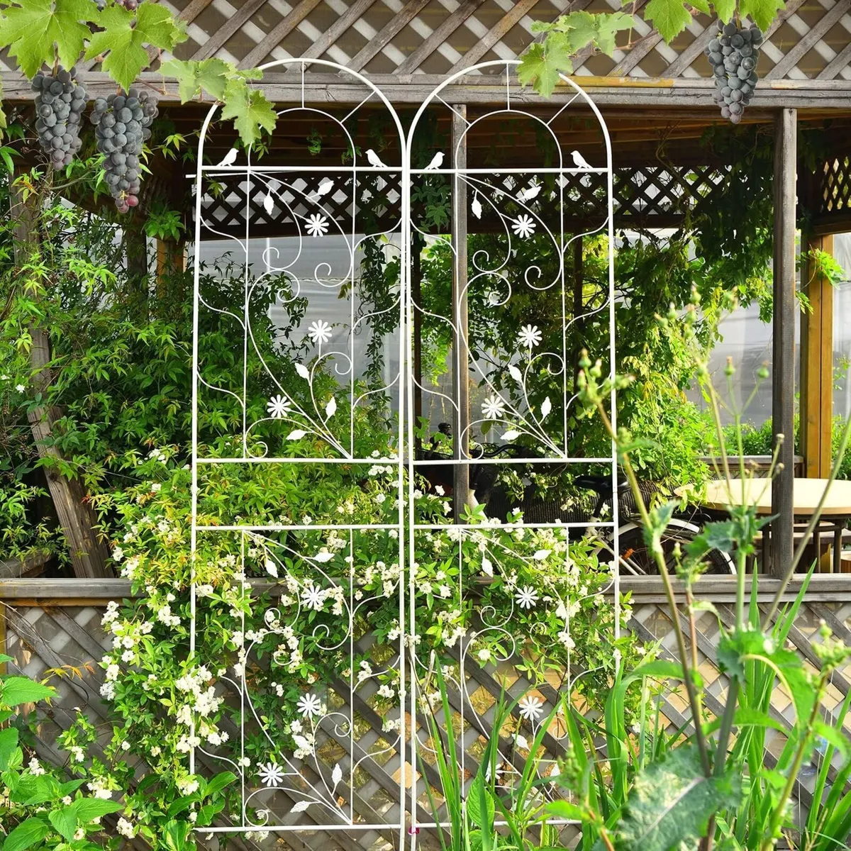 Large Wrought Iron Garden Trellises for Climbing - Image 3