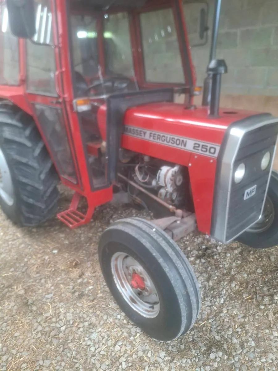 Massey 250 - Image 1