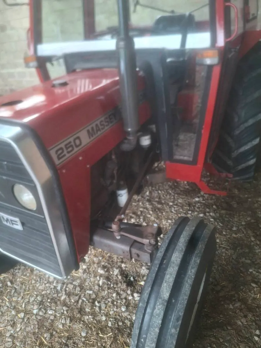 Massey 250 - Image 4