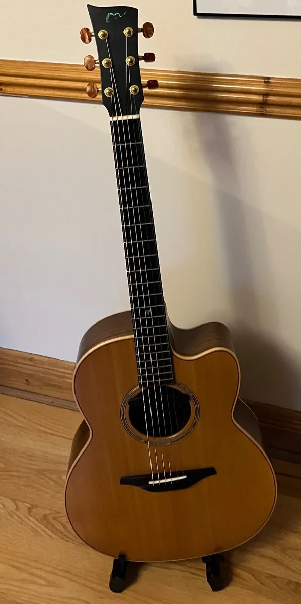 McElroy A30c guitar - Image 1