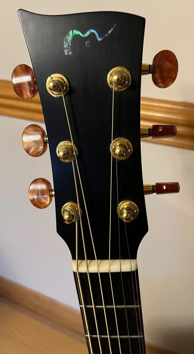McElroy A30c guitar - Image 2