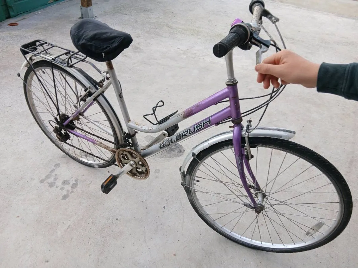Adults Bike