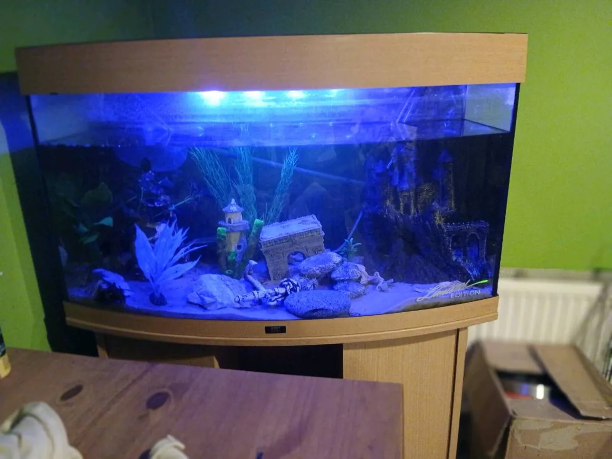 Juwel aquarium - Image 3