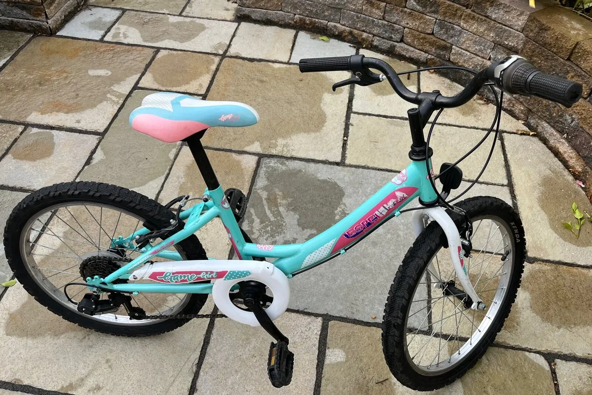 Girls Bicycle - Image 1