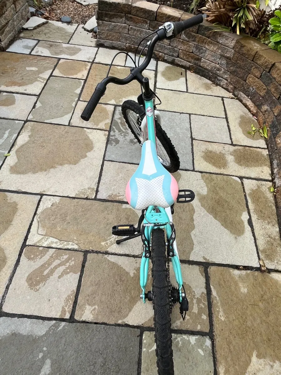 Girls Bicycle - Image 2