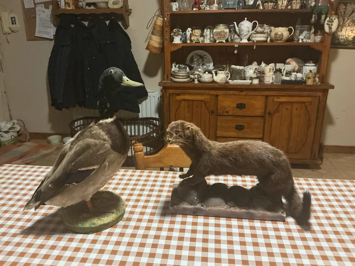 Two stuffed animals - Image 1