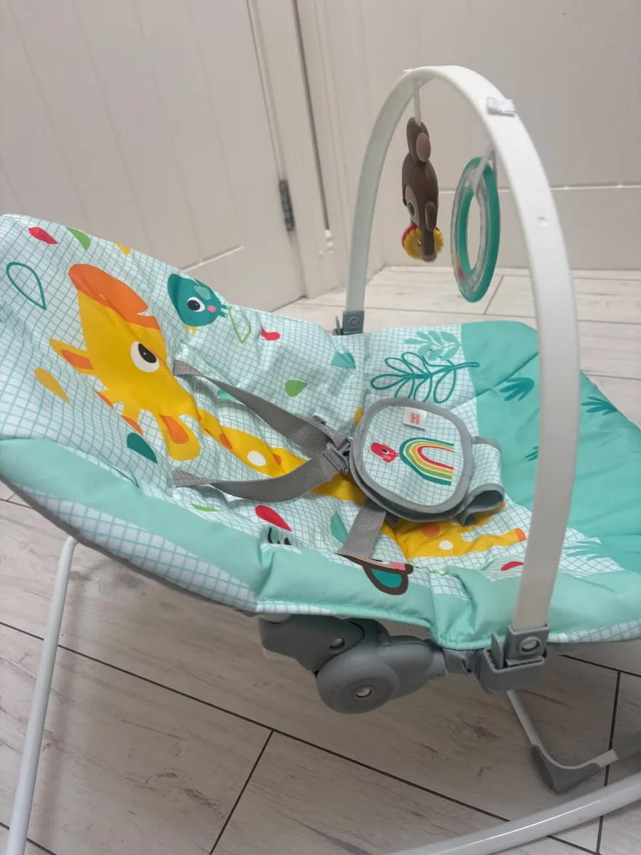 Baby Rocker - Image 4