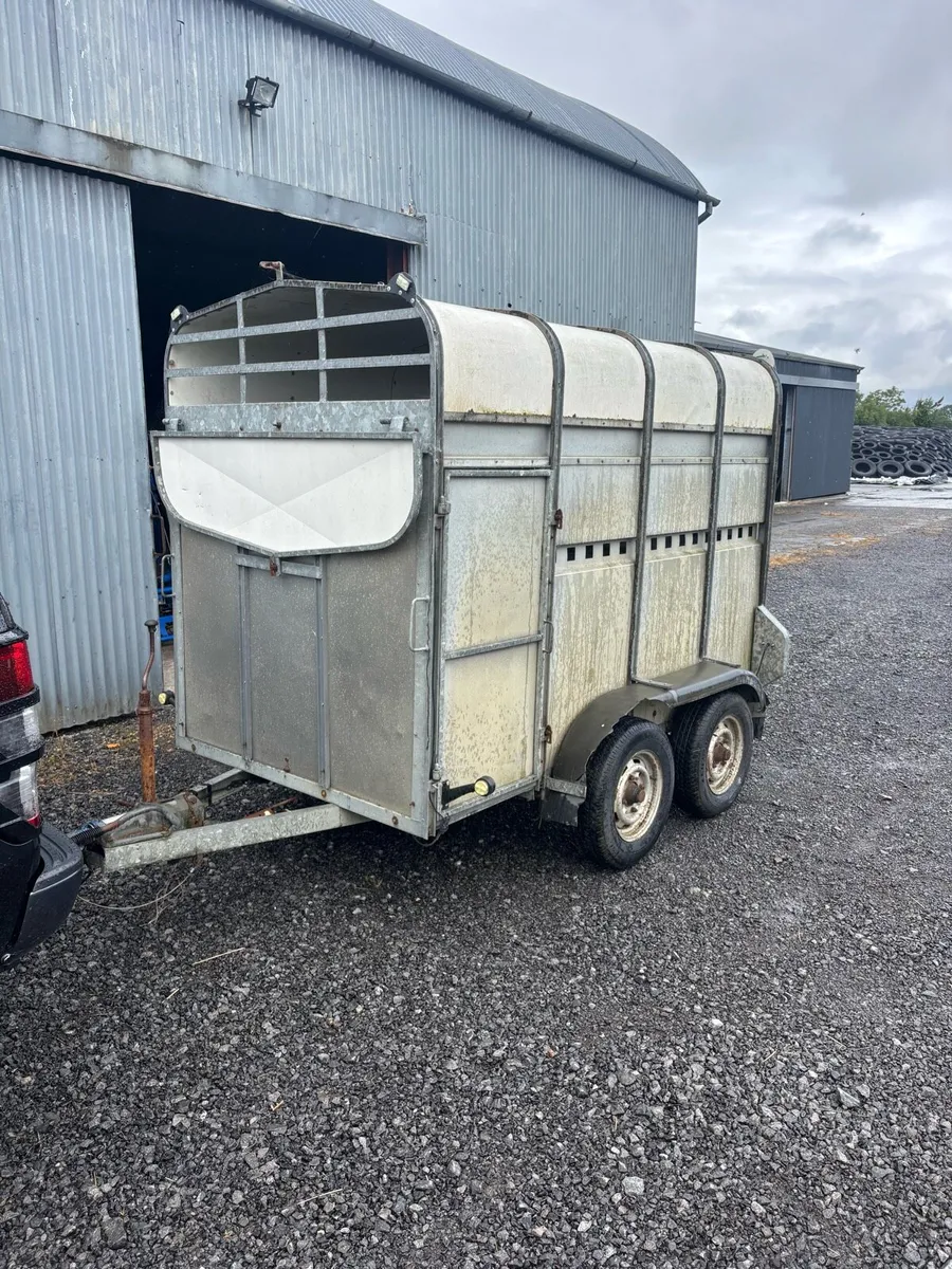 Murphy 2 cow trailer, 8x5 - Image 1