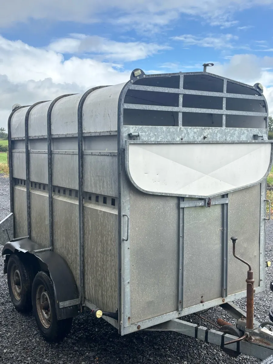 Murphy 2 cow trailer, 8x5 - Image 2