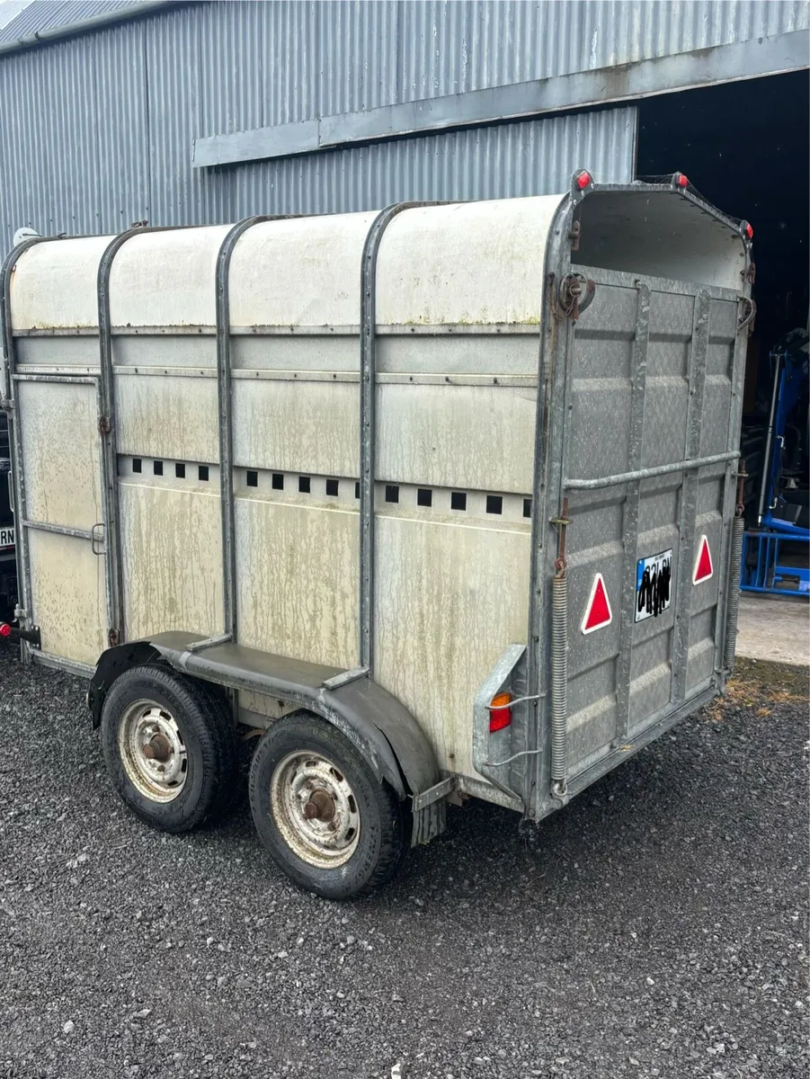Murphy 2 cow trailer, 8x5 - Image 3