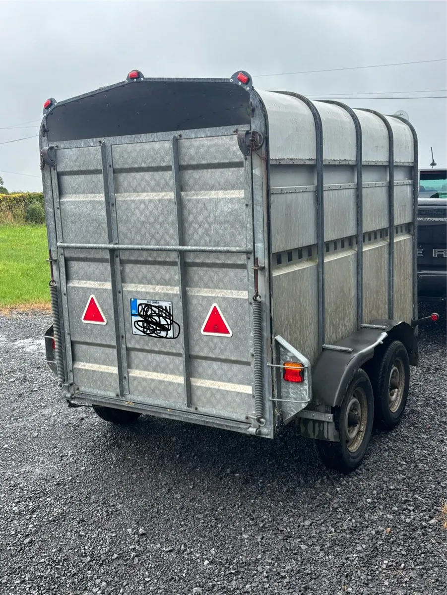 Murphy 2 cow trailer, 8x5 - Image 4