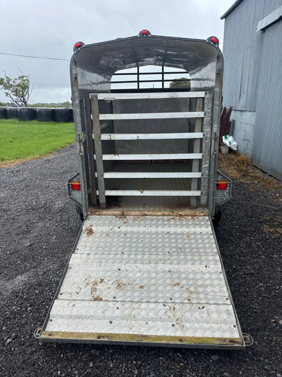 Murphy 2 cow trailer, 8x5 - Image 2