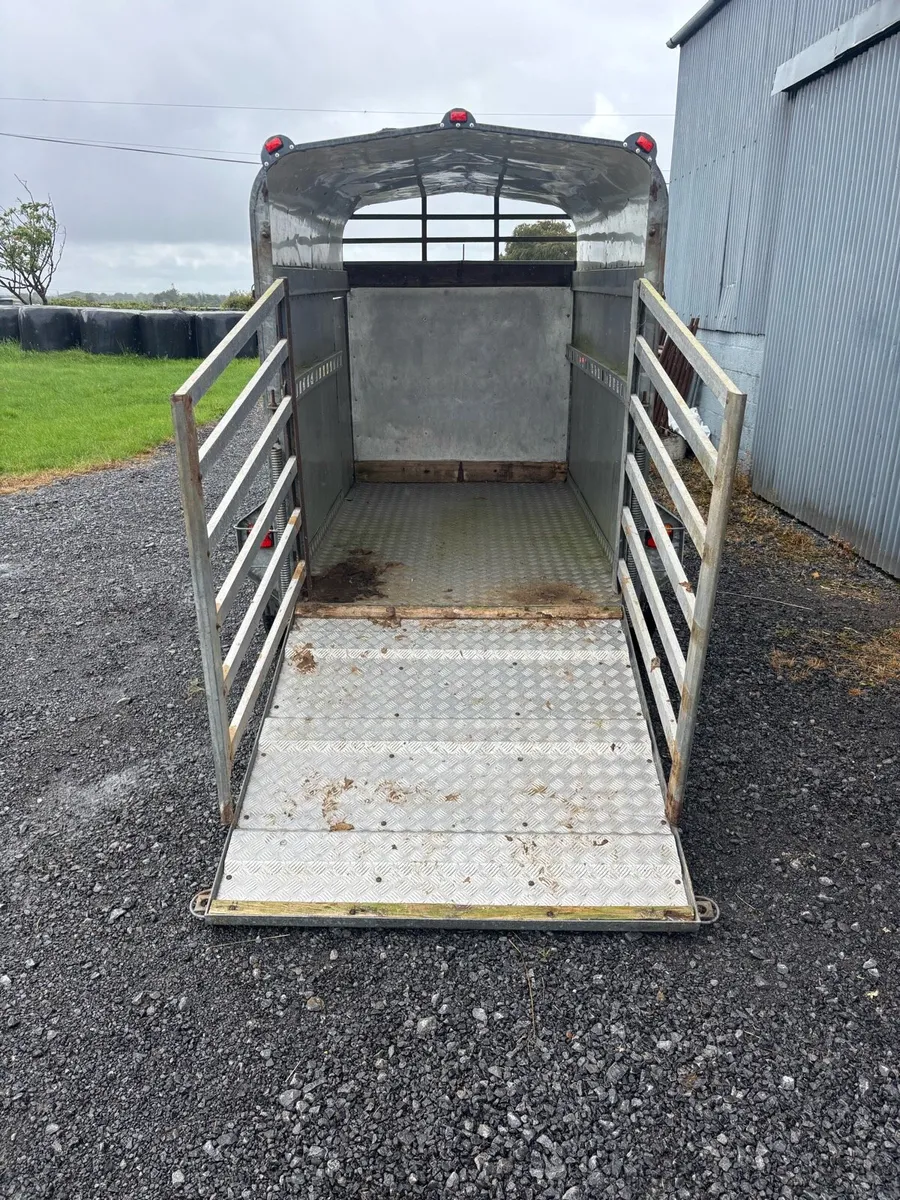 Murphy 2 cow trailer, 8x5 - Image 3