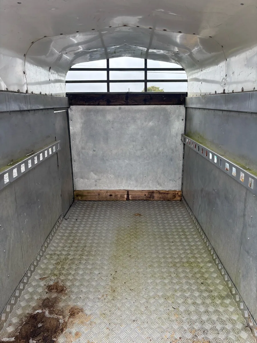 Murphy 2 cow trailer, 8x5 - Image 4