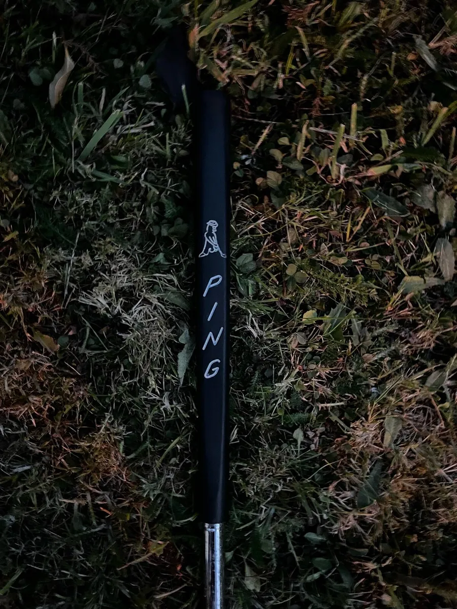 Tiger shark great white putter - Image 4