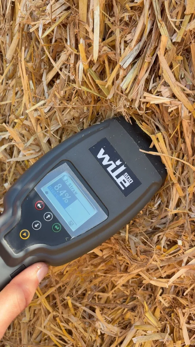 Feed Quality Straw - Image 2