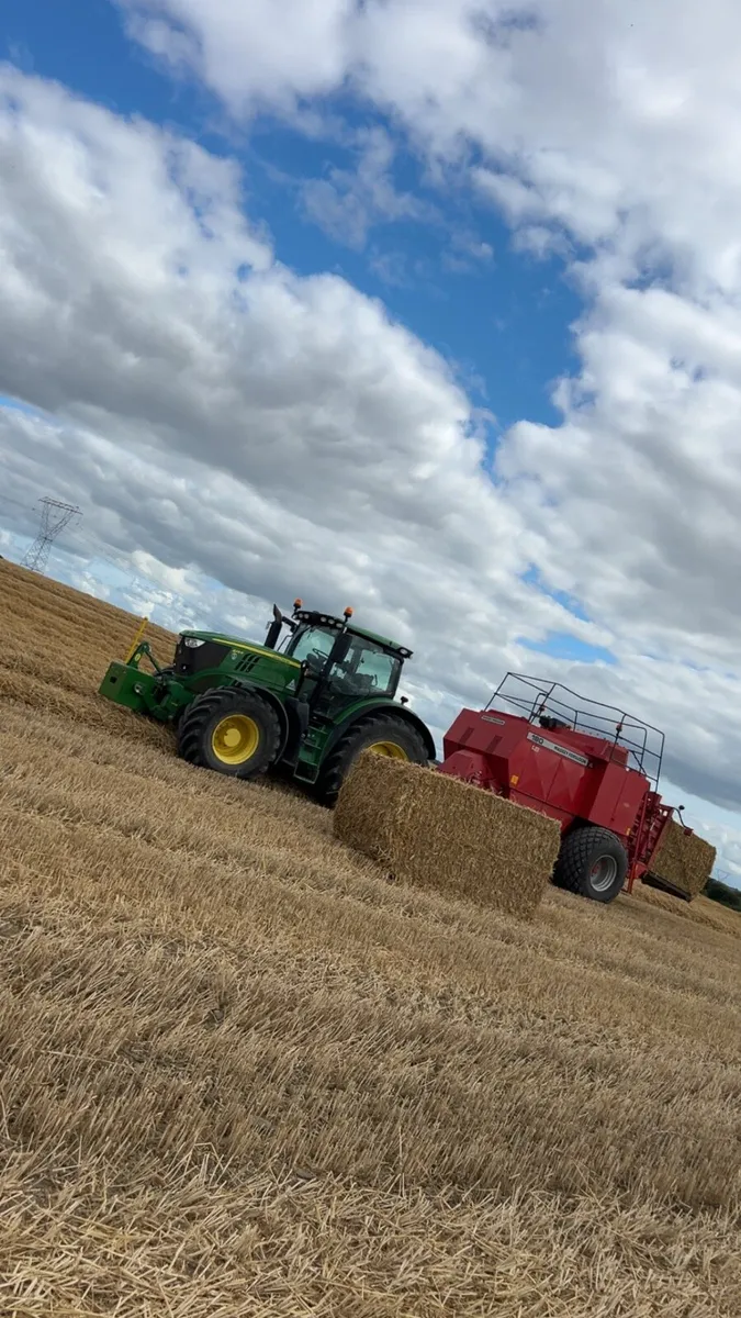 Feed Quality Straw - Image 1