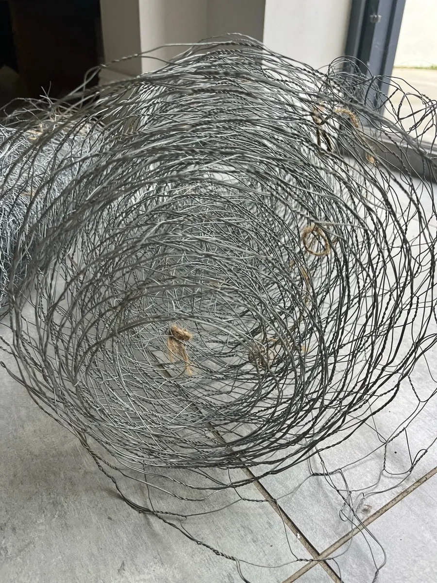 Chicken wire (2 rolls) - Image 2