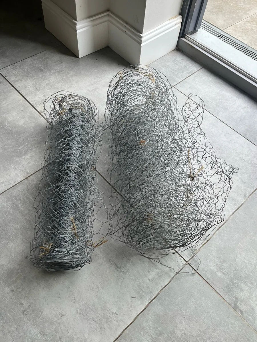 Chicken wire (2 rolls) - Image 1