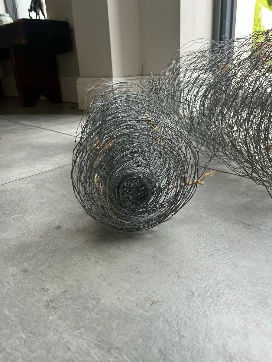 Chicken wire (2 rolls) - Image 3