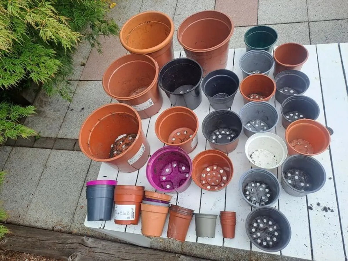 47 Plastic Plant Pots - all shapes and sizes - Image 2