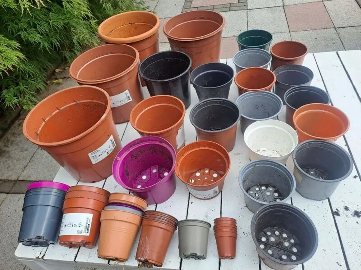 47 Plastic Plant Pots - all shapes and sizes - Image 4