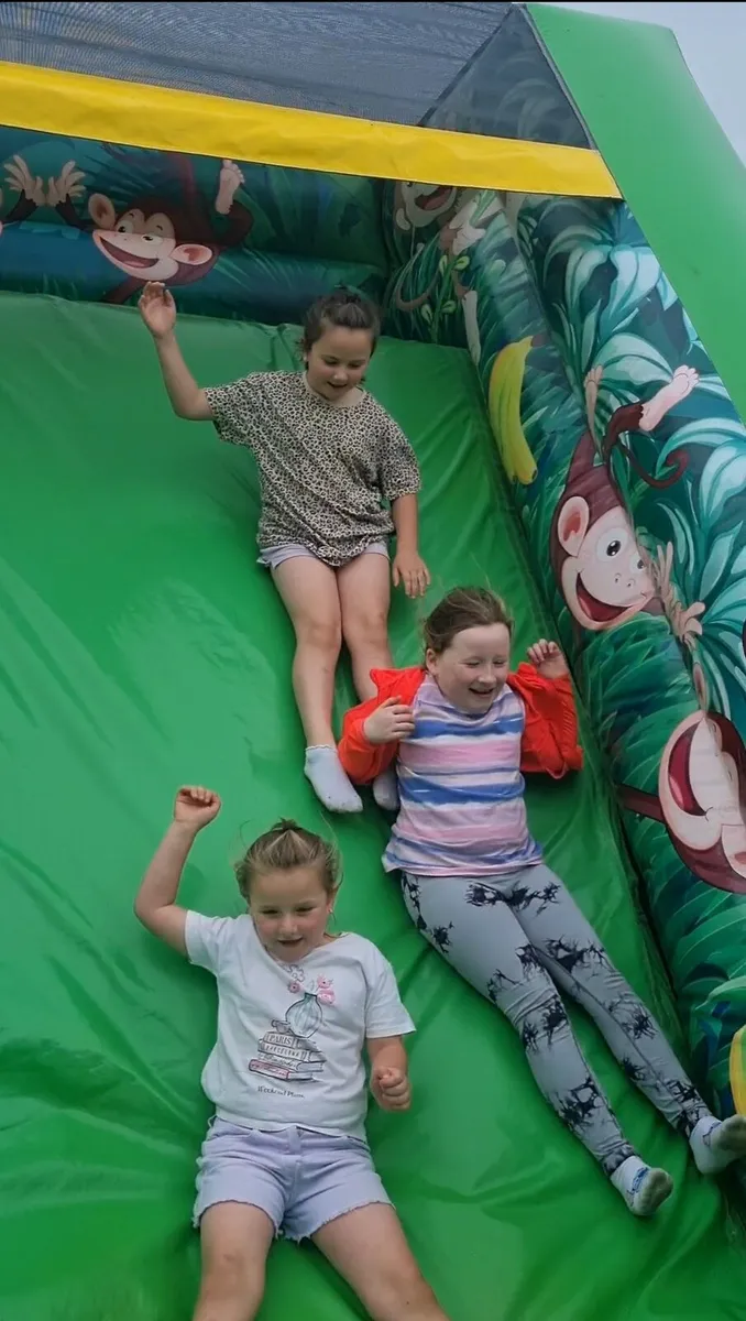 Inflatable Bouncy Castle - Image 2