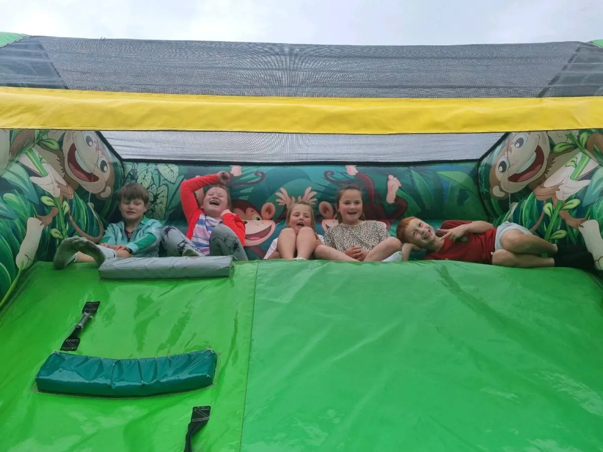 Inflatable Bouncy Castle - Image 4