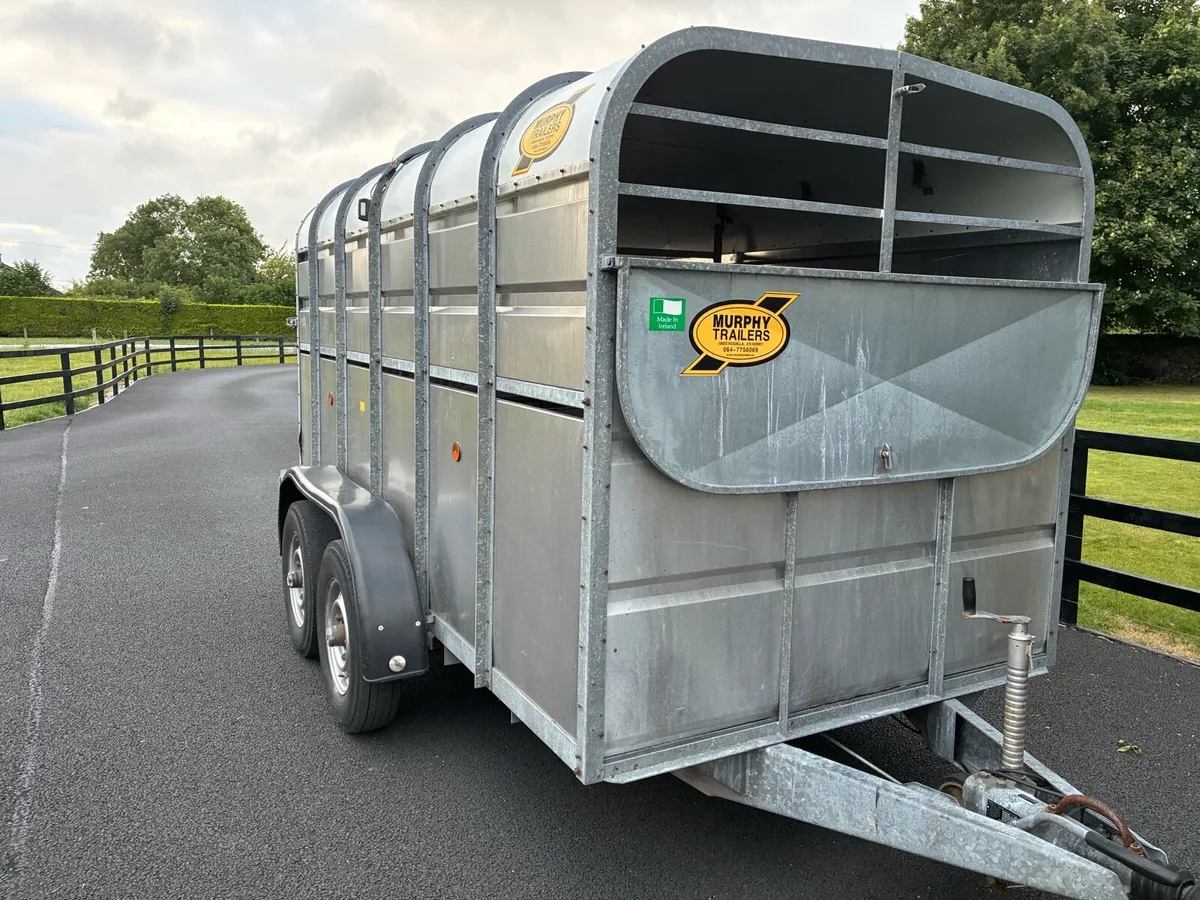 12 X 6 Murphy Cattle Trailer - Image 2